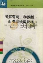 图解葡萄·猕猴桃·山楂树修剪技术（1998 PDF版）