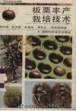板栗丰产栽培技术（1992.08 PDF版）