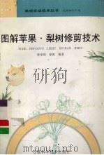 图解苹果·梨树修剪技术 1998 PDF电子版封面 7533715810 钟家煌,徐凯编著