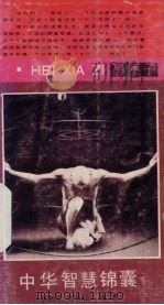 中华智慧锦囊  下（1992 PDF版）