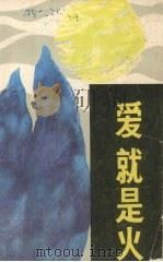 爱就是火（1985年05月 PDF版）