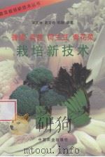 香椿  莴苣  荷兰豆  青花菜栽培新技术（1997 PDF版）