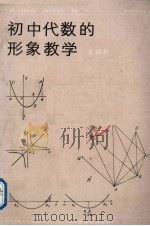 初中代数的形象教学（1991 PDF版）