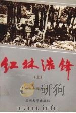 红林浩锋 上 1996.01 PDF电子版封面 7311009855 康和厚著