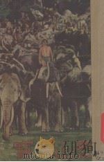 泰山得宝 1946 PDF电子版封面 E.R.BURROUGHS勃罗夫斯作者