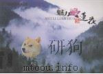魅力莲花（ PDF版）