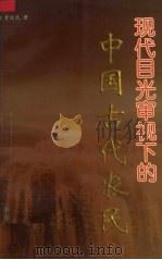 现代目光审视下的中国古代农民 1998 PDF电子版封面 7501139962 贾俊民著