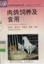 肉鸽饲养及食用（1995 PDF版）