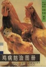 鸡病防治图册 1991 PDF电子版封面 7538111093 黄金顺等编著