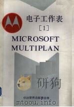 电子工作表 1 PDF电子版封面