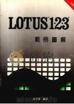 LOTUS1-2-3范例图解 1990 PDF电子版封面 林功艺编译