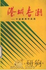 港城春潮:宁波新闻作品选 1993 PDF电子版封面 7303007660 陈学仁主编