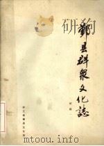 鄞县群众文化志  初稿（ PDF版）