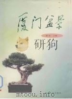 厦门盆景（ PDF版）