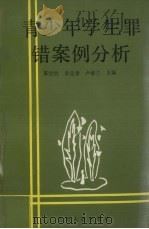 青少年学生罪错案例分析（1994 PDF版）