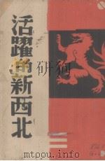 活跃的新西北（1938 PDF版）