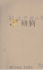 激流中的水花（1940 PDF版）