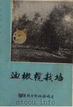 油橄榄栽培（ PDF版）
