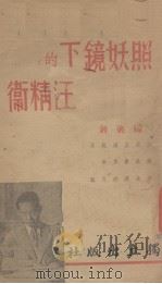 照妖镜下的汪精卫（1939 PDF版）