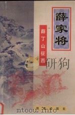薛家将：薛丁山征西（ PDF版）