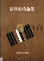 钢琴奏鸣曲集（1995 PDF版）