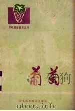 葡萄（1985 PDF版）