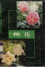 种花 1984 PDF电子版封面 13298·35 邓承康编