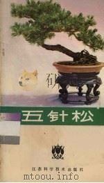 五针松 1984 PDF电子版封面 16196·157 胡良民编著