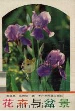 花卉与盆景（1989 PDF版）