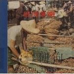 经济果树 下 1979 PDF电子版封面 梁鹗主编