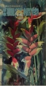 草本观赏植物  2（1989 PDF版）
