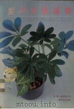 室内水栽植物（1985 PDF版）