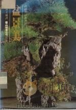 盆景美（1986 PDF版）