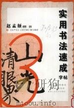 实用书法速成字帖  赵孟〓楷书（ PDF版）