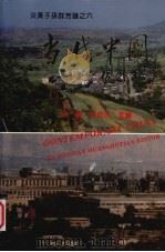 炎黄子孙群芳谱之六 当代中国 报告文学集 1995 PDF电子版封面 7800686809 郭键,黄如天主编