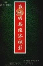 当代回族经济掠影（1997 PDF版）