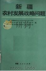 新疆农村发展战略问题（1988 PDF版）