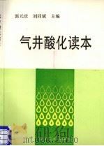 气井酸化读本（1996 PDF版）