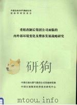 重组改制后集团公司面临的内外部环境变化及整体发展战略研究 PDF电子版封面 中国石油天然气集团公司发展研究部,中国石油集团经济技术研究中