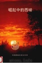 崛起中的西峡（1993 PDF版）