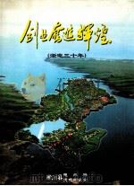 创业奋进辉煌（淅电三十年）（ PDF版）