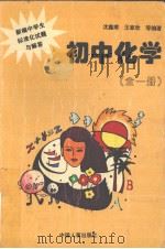 新编中学生标准化试题与解答  初中化学  全1册（1996 PDF版）