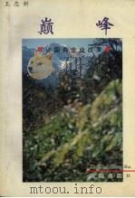巅峰:论国有企业改革 1998 PDF电子版封面 780612425X 王忠新著