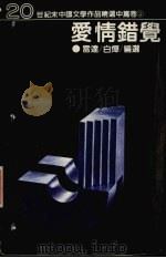 爱情错觉  2（1996 PDF版）