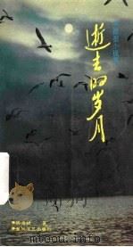 逝去的岁月（1991 PDF版）