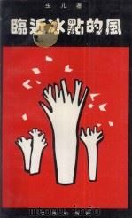 临近冰点的风 1995 PDF电子版封面 7806121064 虫儿著