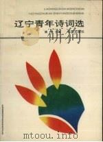 辽宁青年诗词选 1993 PDF电子版封面 7805569401 姚莹主编
