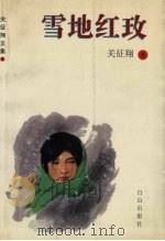 雪地红玫 1999 PDF电子版封面 7805667020 关征翔著
