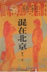 混在北京（1993 PDF版）