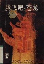 腾飞吧，苍龙（1987 PDF版）
